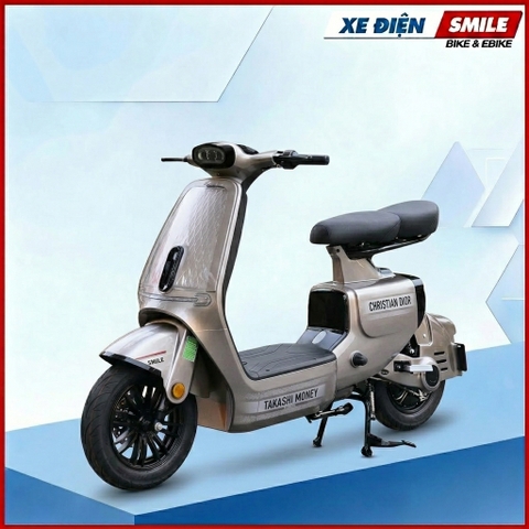 Xe Điện Dv Motor Takashi Money Pro (48V-23Ah) 4 Bình
