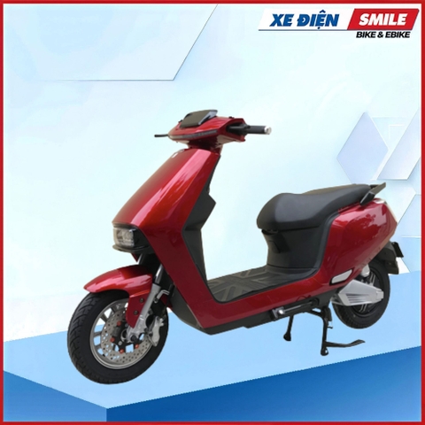 XE MÁY ĐIỆN DIBAO R1