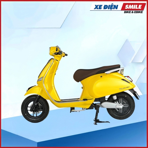 XE ĐIỆN DIBAO TESLA DIO