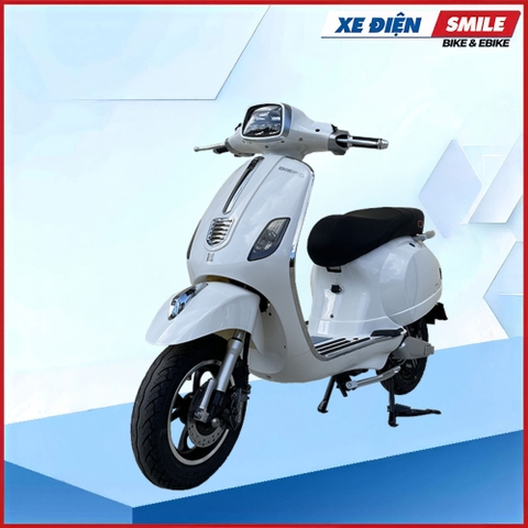 XE MÁY ĐIỆN DIBAO PANSY SQ2