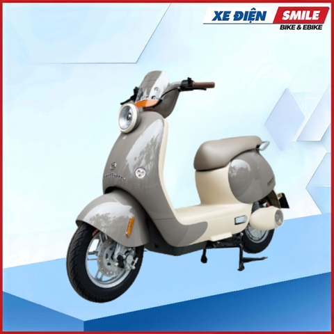 XE MÁY ĐIỆN DIBAO QUEEN