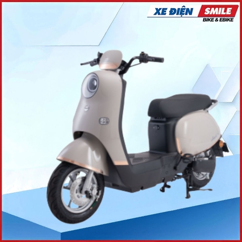 Xe Điện Hottrend Dibao Rosa (60V-22A) 5 Bình