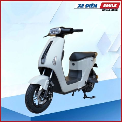 XE MÁY ĐIỆN DIBAO RYAN