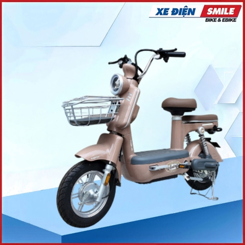 XE MÁY ĐIỆN DIBAO AMY