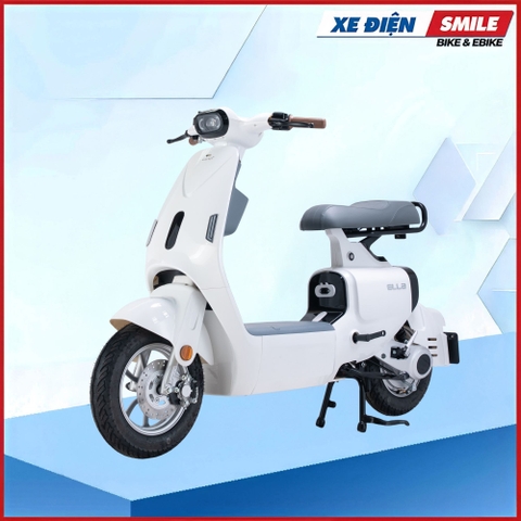 XE MÁY ĐIỆN DIBAO ELLA