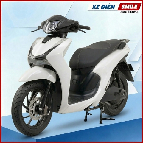Xe Điện DETECH VELIA E (P) 2 PIN