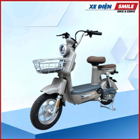 XE MÁY ĐIỆN DIBAO AMY
