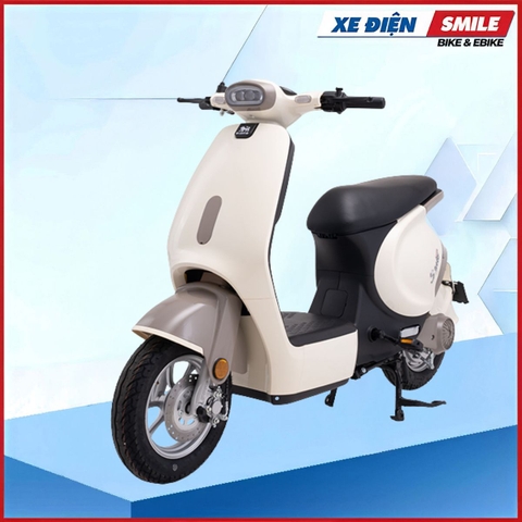 Xe Điện Dibao S-One (60V-22A) 5 Bình