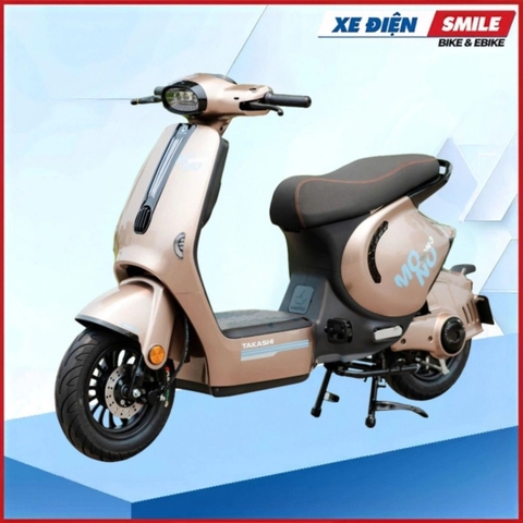Xe điện DV Motor Takashi Mono Pro (60V-23A) 5 Bình