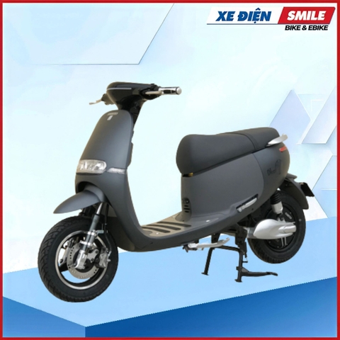 XE MÁY ĐIỆN DIBAO GOGO S4