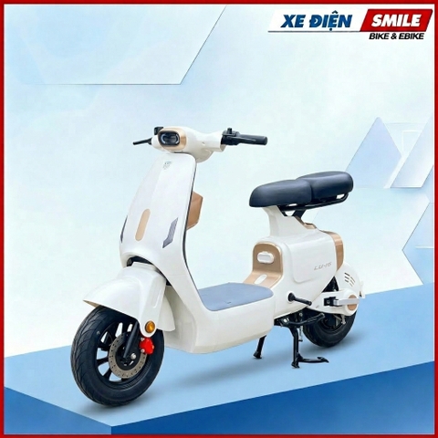 XE ĐIỆN LUYUAN