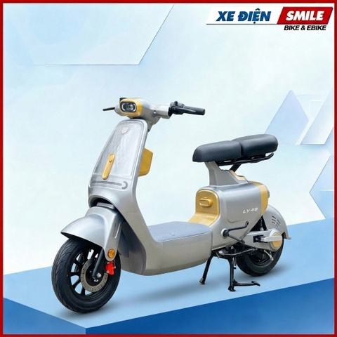 XE ĐIỆN LUYUAN PRO