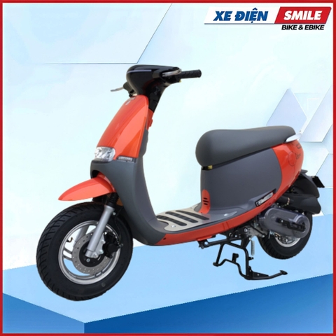 XE MÁY DIBAO 50CC GOFAST