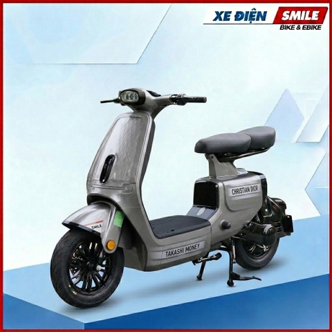 Xe Điện Dv Motor Takashi Money Pro (48V-23Ah) 4 Bình