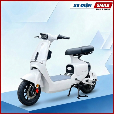 XE ĐIỆN LUYUAN PRO