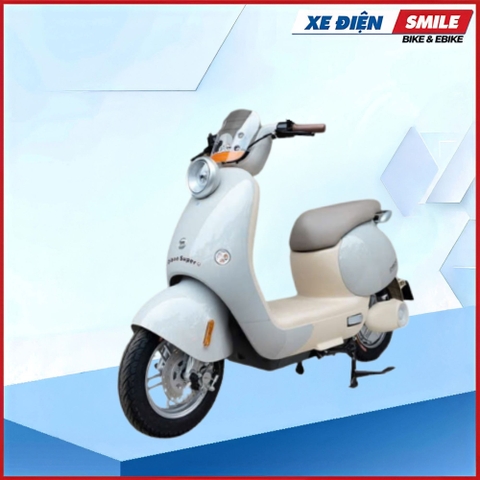 XE MÁY ĐIỆN DIBAO QUEEN