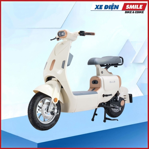 XE MÁY ĐIỆN DIBAO ELLA