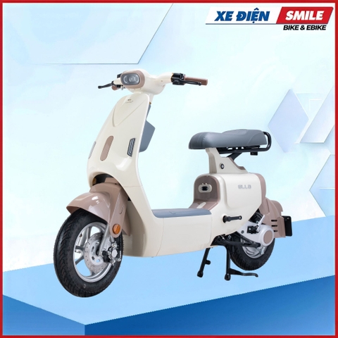 XE MÁY ĐIỆN DIBAO ELLA