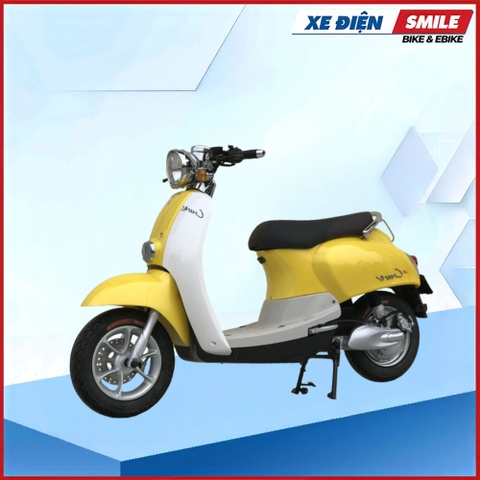 XE MÁY ĐIỆN DIBAO CREER E