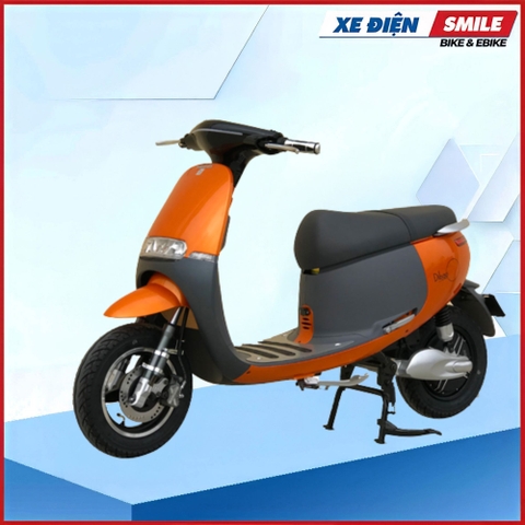 XE MÁY ĐIỆN DIBAO GOGO S4