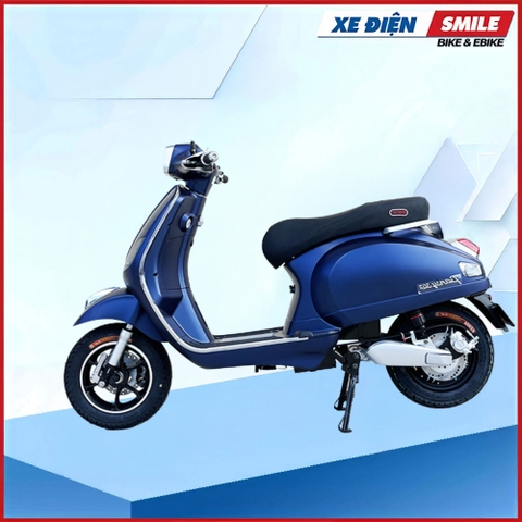 XE MÁY ĐIỆN DIBAO PANSY SQ2