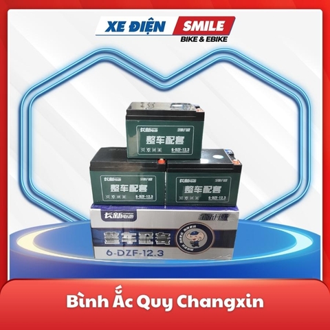 Ắc Quy Xe Đạp Điện Changxin 14ah