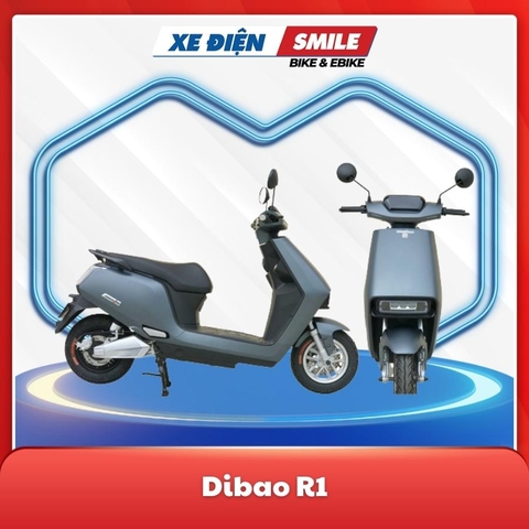 Dibao R1