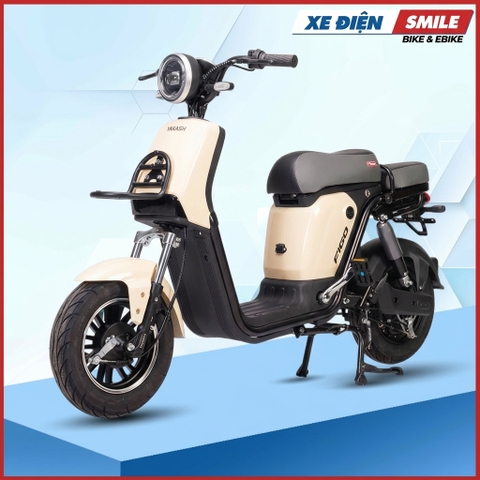 Xe Điện Takashi Figo