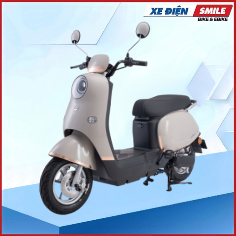 Xe Điện Hottrend Dibao Rosa (60V-22A) 5 Bình