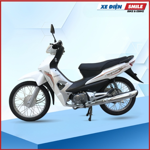 Xe máy Dibao RS 50cc