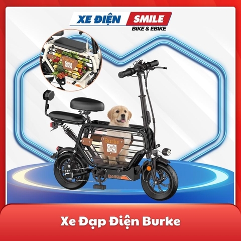 Xe điện Burke màu đen