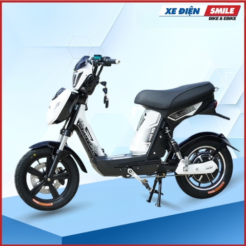 Xe Đạp Điện DK Bike Samurai 4