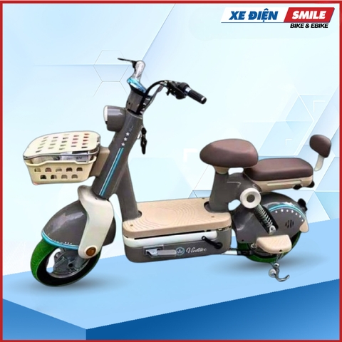 Xe Đạp Điện Le Lemon