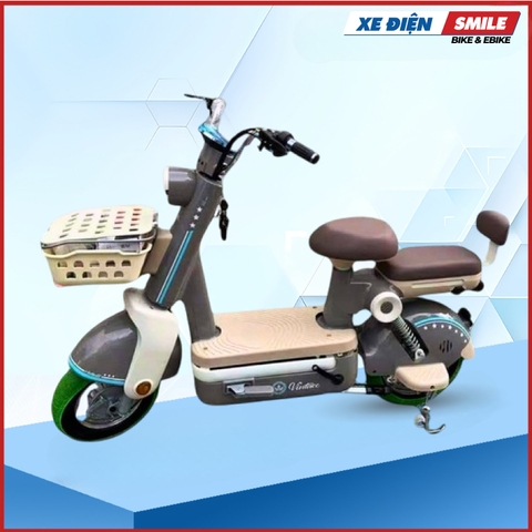 Xe Đạp Điện Le Lemon