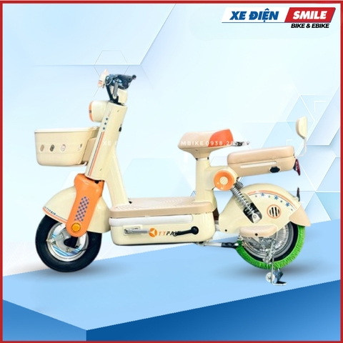 Xe Đạp Điện Le Lemon