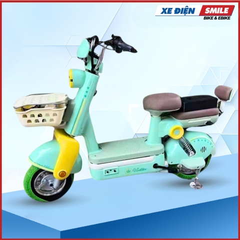 Xe Đạp Điện Le Lemon
