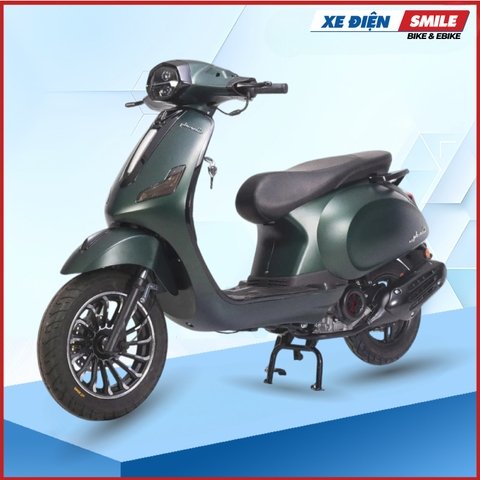 Xe Điện Daelim Guzzi