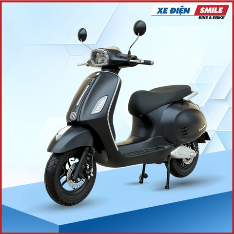 XE MÁY ĐIỆN DIBAO TESLA CHIC Q