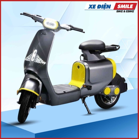 Xe Đạp Điện DK S1