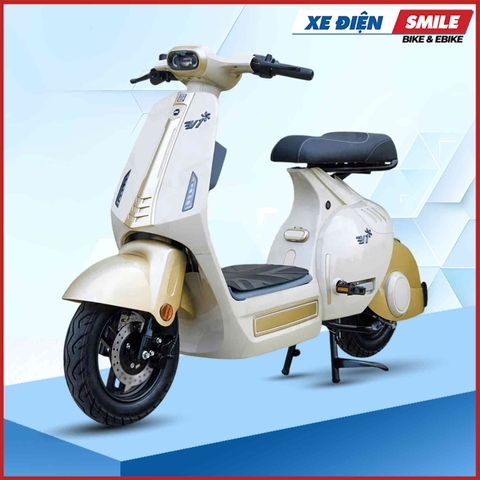 Xe Điện Dk Bike V1 (60V-23A)