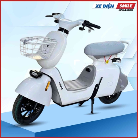 Xe Đạp Điện Hottrend Dylexe K2