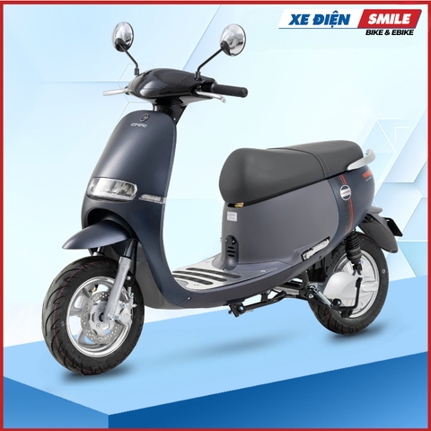 Xe Điện ESPERO GOGO-F1 Pro ghi mờ