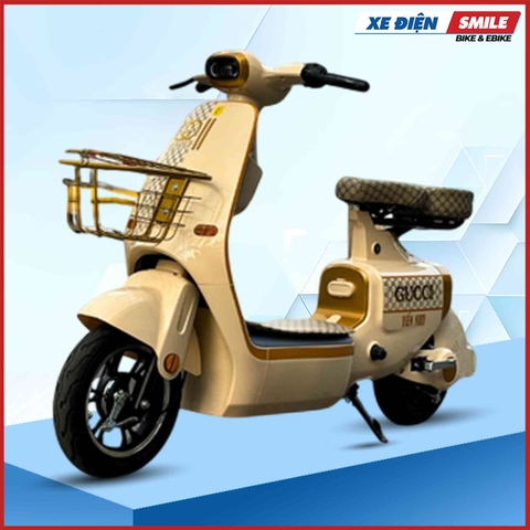 Xe Điện Hottrend Dylexe K1 (Hottrend K1 Option 3)