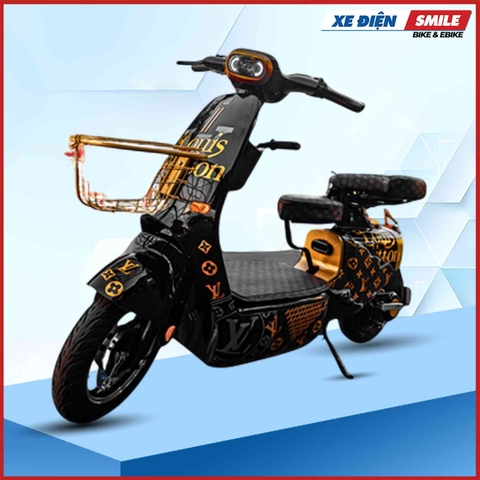 Xe Điện Hottrend Dylexe K1 (Hottrend K1 Option 3)