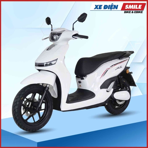 Xe Điện JVC ZH