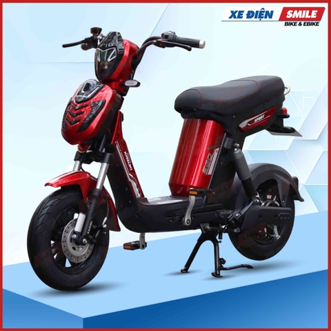 Xe Điện Kazuki Ego