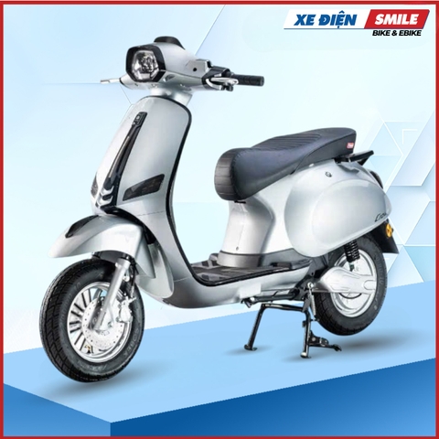 Xe Điện Takashi Crown