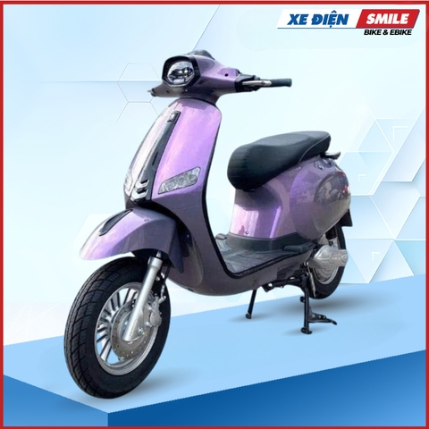 Xe Điện Takashi Crown