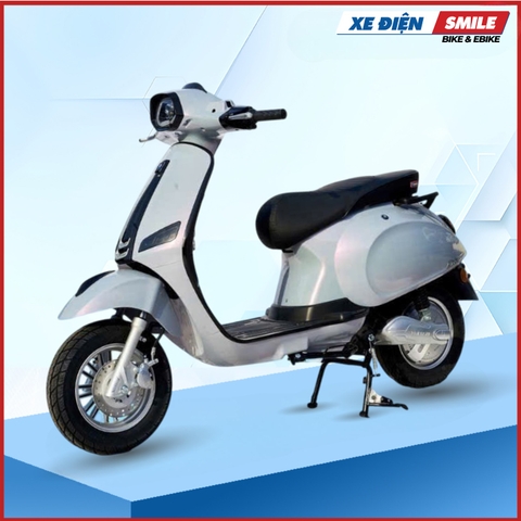 Xe Điện Takashi Crown