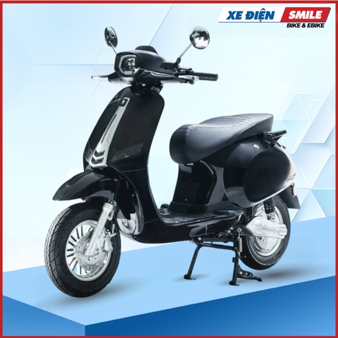 Xe Điện Takashi Crown